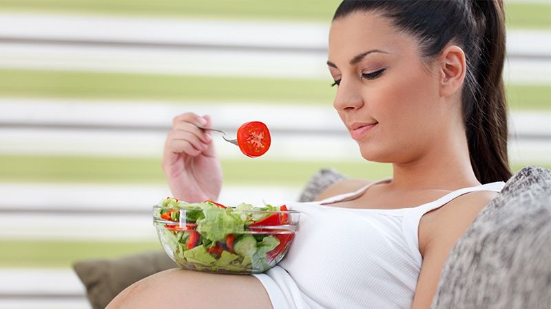 Makanan Sehat Untuk Ibu Hamil - Hamil Sehat