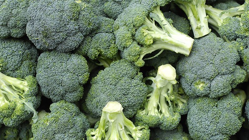 Makanan Sehat Untuk Ibu Hamil Muda - Brokoli