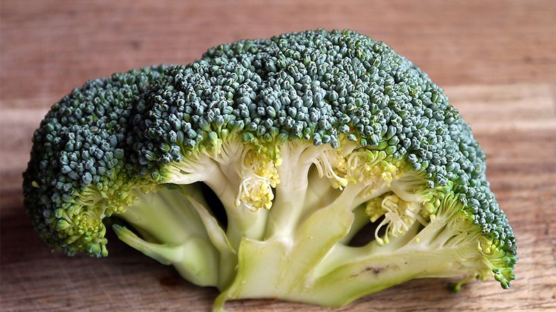 Makanan sehat - Brokoli