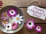 Sejarah Hari Ibu di Indonesia - Ucapan Selamat Hari Ibu